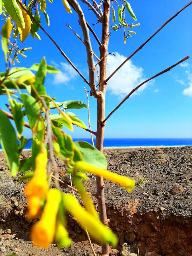 Вілла El Bounty De Playa Chica Пуерто-дель-Росаріо Екстер'єр фото
